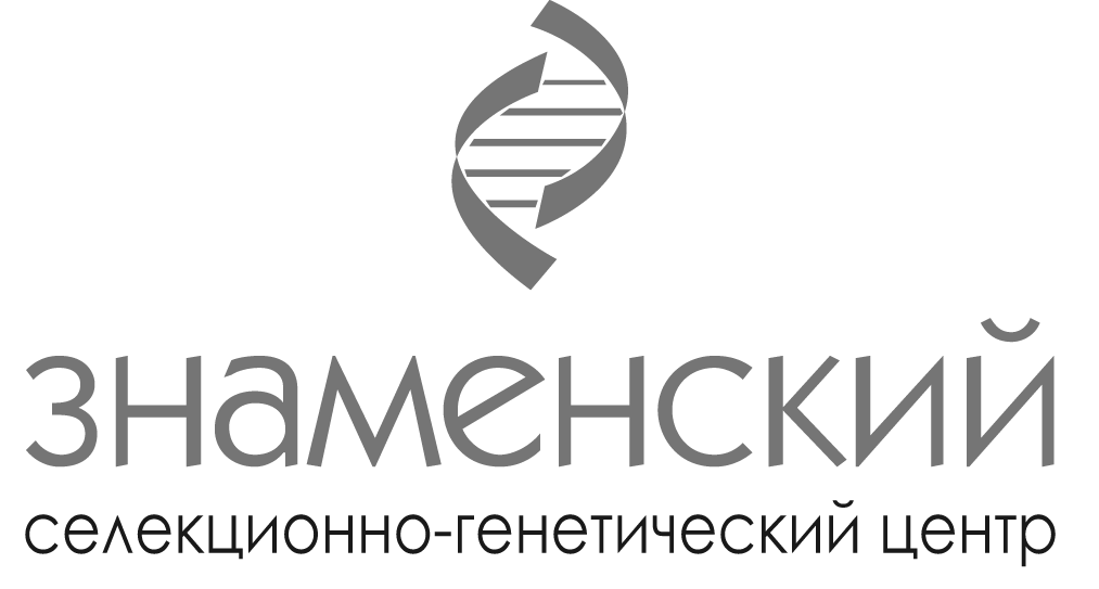 Логотип клиента 6